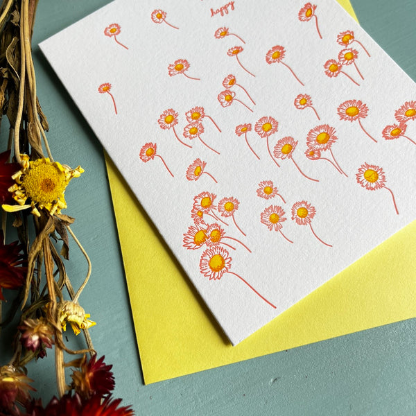 Birthday Daisies Letterpress Card