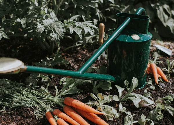 The Warley Fall Watering Can | Two Gallon in Green
