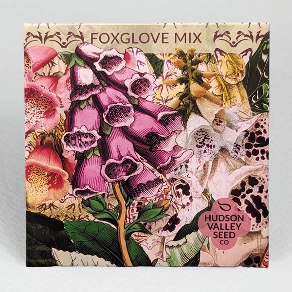 Foxglove Mix Art Pack Seeds
