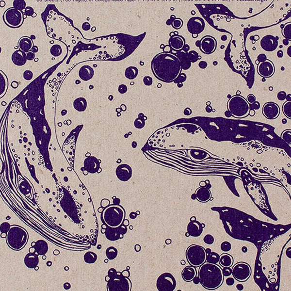 Humpback Whales Pocket Decomposition Notebook