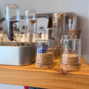 Specimen Bottles with Cork Lids