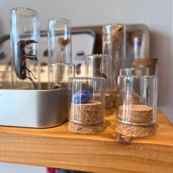 Specimen Bottles with Cork Lids