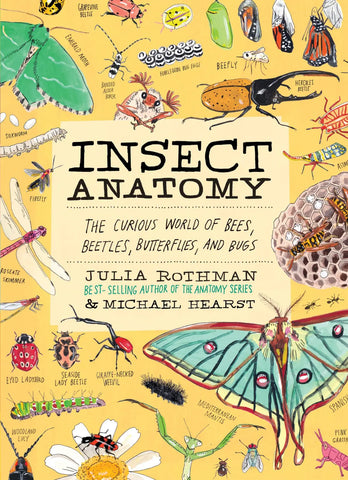 Insect Anatomy by Julia Rothman