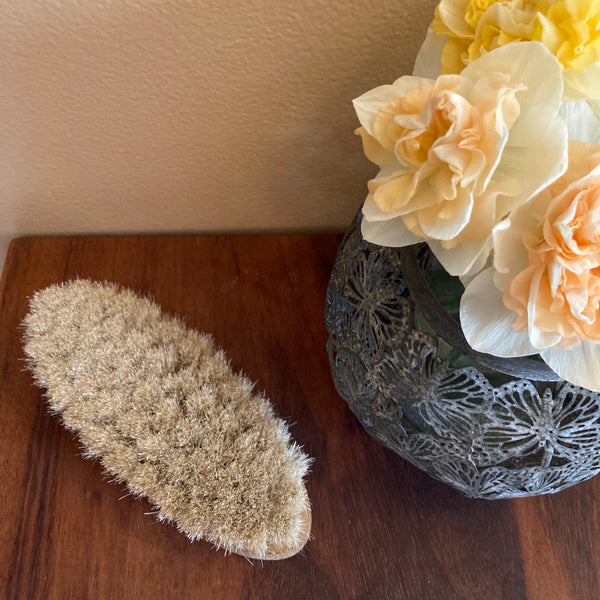 Bath Brush/Dry Brush