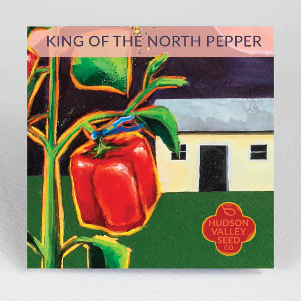 King of the North Pepper Art Pack Seeds