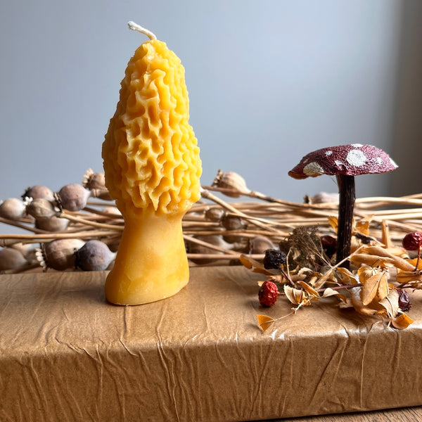 Morel Mushroom Beeswax Candles