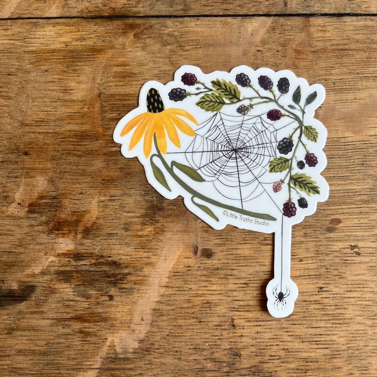 Spiderweb | Sticker