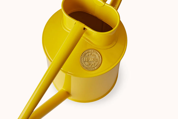 The Fazeley Flow | Two Pint in Lotus Yellow