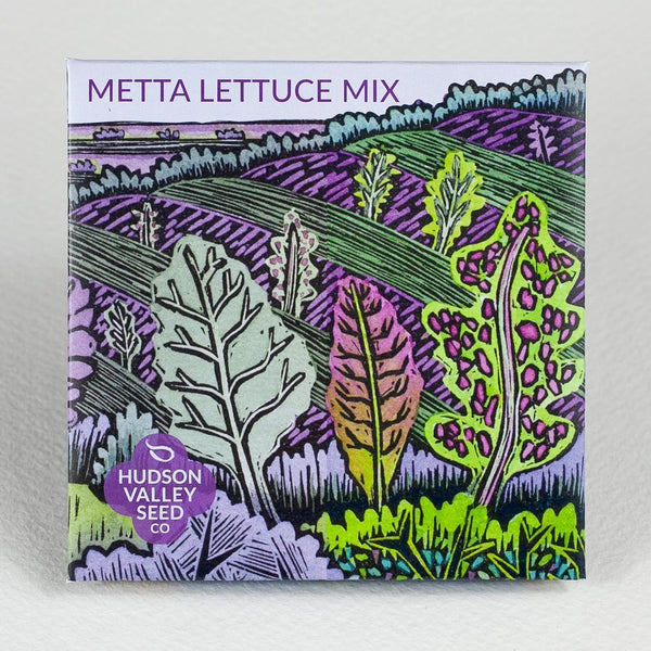 Metta Lettuce Mix Art Pack Seeds