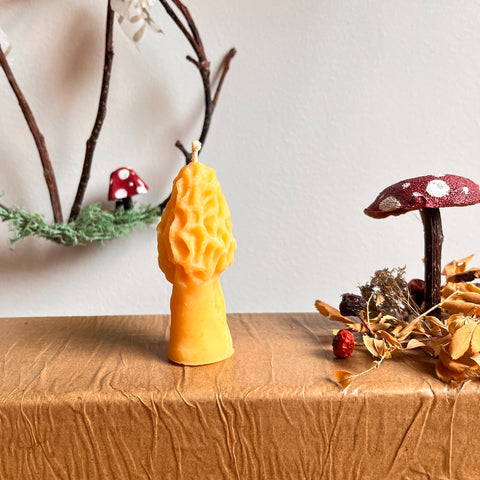 Morel Mushroom Beeswax Candle
