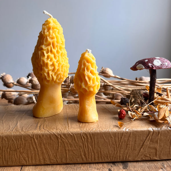 Morel Mushroom Beeswax Candles