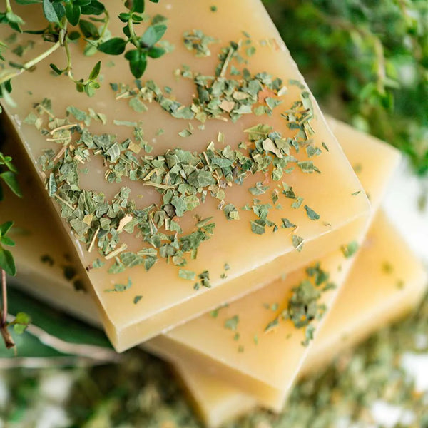 Neem & Tea Tree Soap & Shampoo Bar