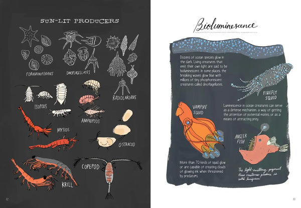 Ocean Anatomy by Julia Rothman