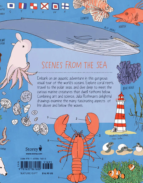 Ocean Anatomy by Julia Rothman