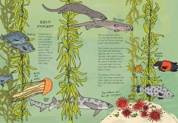 Ocean Anatomy by Julia Rothman