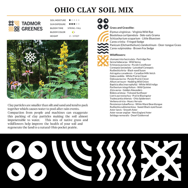 Native Plant Seed Mixes | 1/2 oz Packs