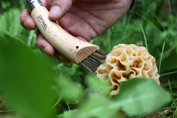 No. 8 Mushroom Knife with Brush