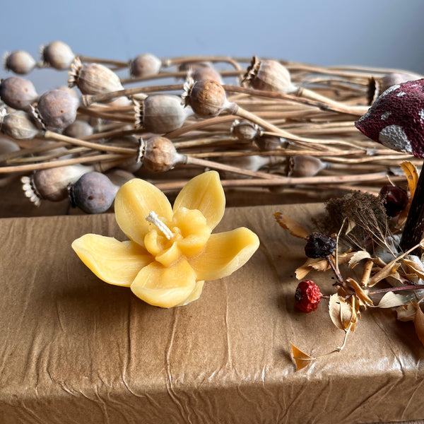 Orchid Floating Beeswax Candle