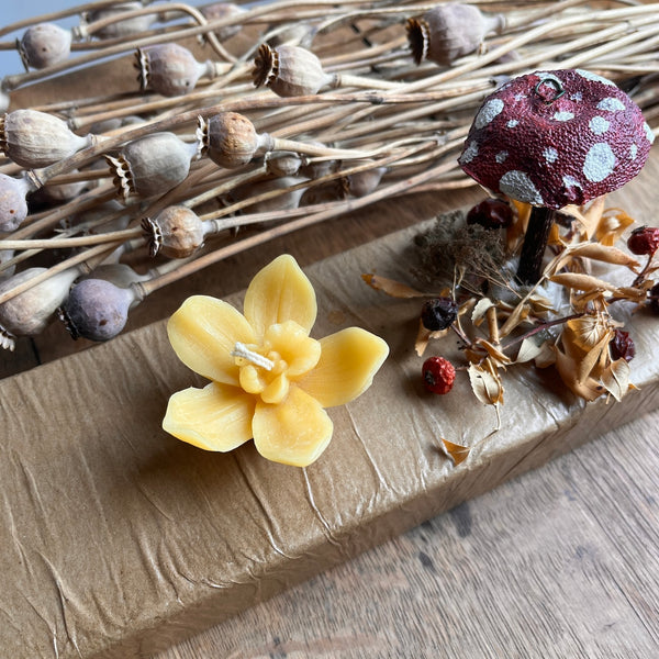 Orchid Floating Beeswax Candle