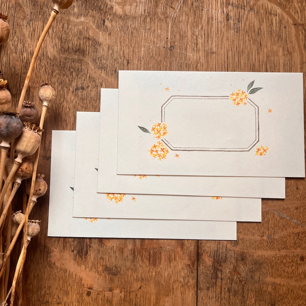 Letter Writing Set - Kinmokusei (Osmanthus)