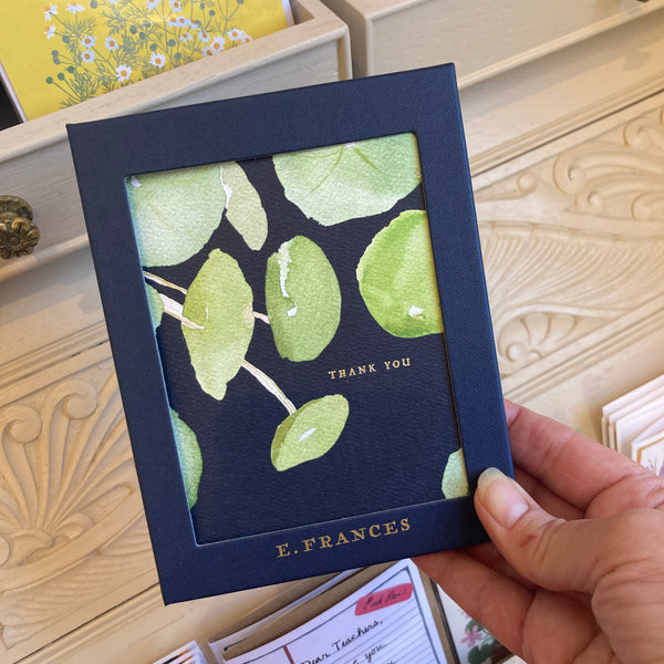 Pancake Plant Thank You | Boxed Notecards