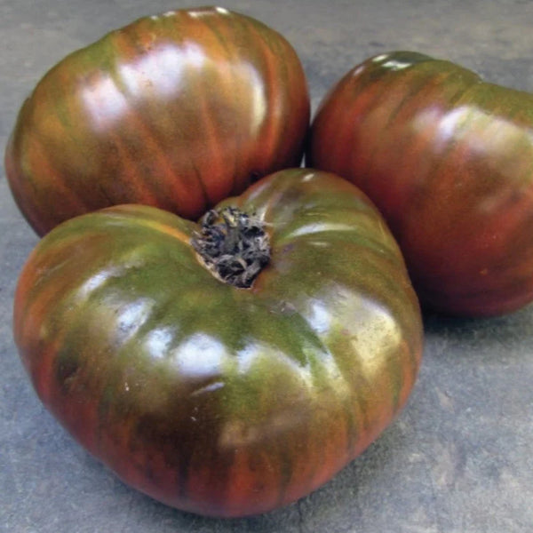 Paul Robeson Tomato Art Pack Seeds