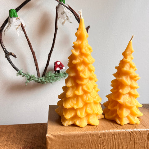 Pine Tree Beeswax Candles