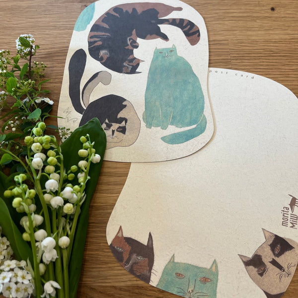 Three Cats Postcard