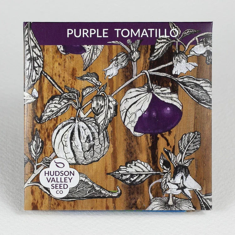 Purple Tomatillo Art Pack Seeds