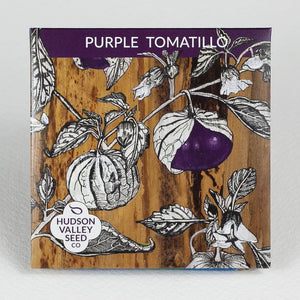 Purple Tomatillo Art Pack Seeds