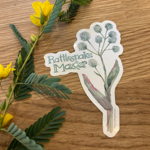 Rattlesnake Master | Native Plant Sticker