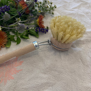 Dish Brush with Replaceable Head | 4cm Natural Tampico