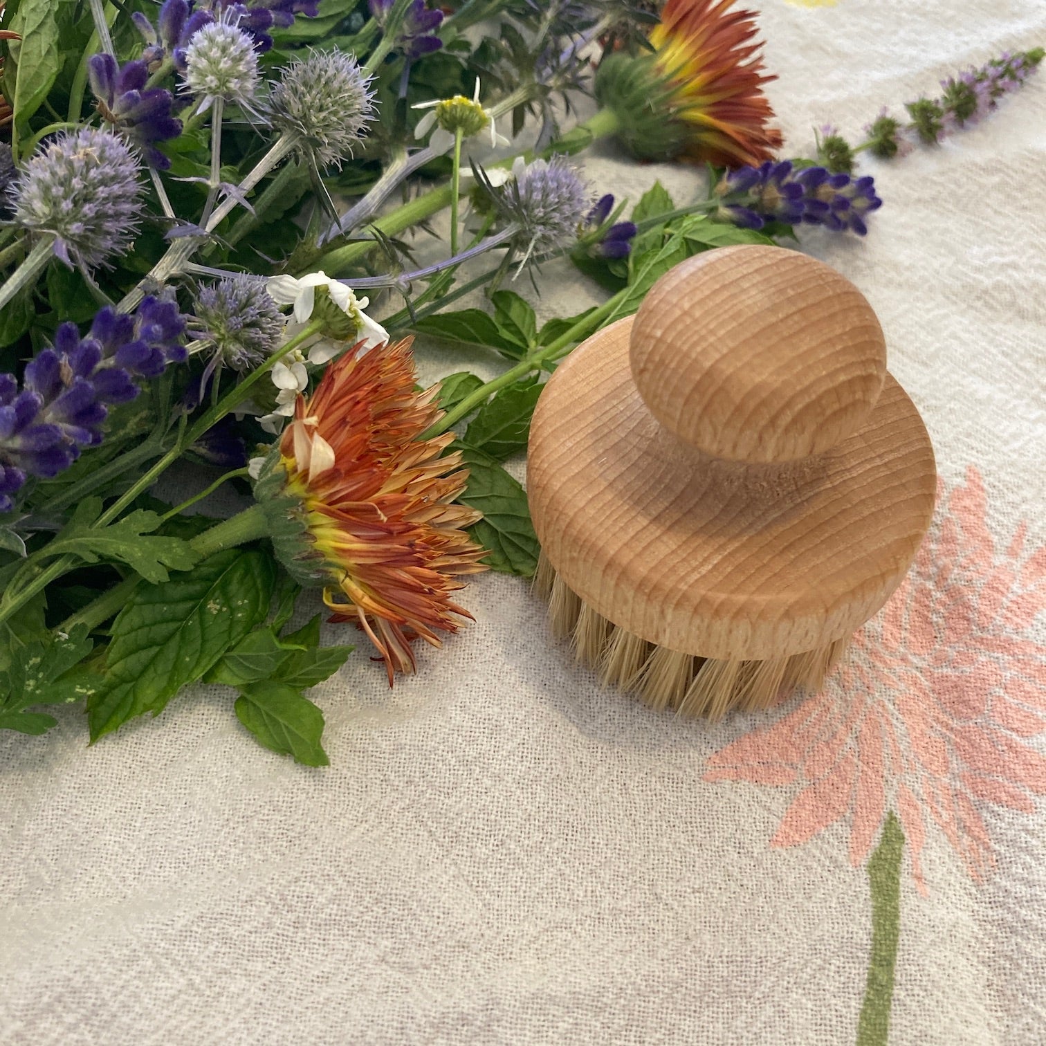 Face Brush | Oiled Beechwood, Light Bristle