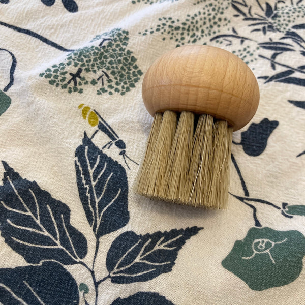 Mushroom Brush | Beechwood