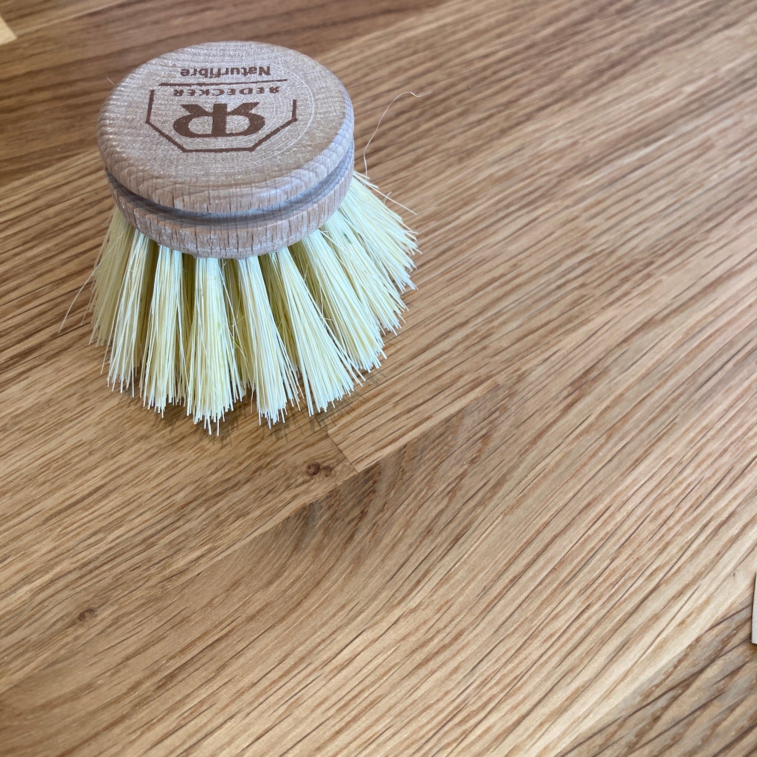Dish Brush Replacement Head | 4 cm Natural Tampico