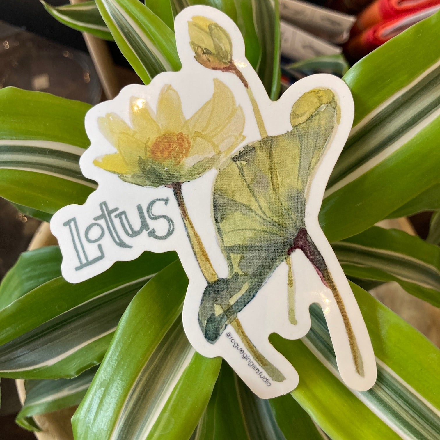 Sticker Lotus Lotus Flower | Sticker – Pink Moon Goods
