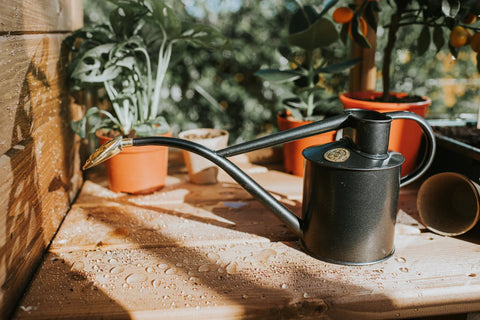 The Rowley Ripple Watering Can | Two Pint in Graphite