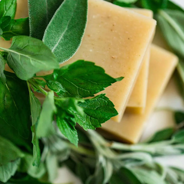 Sage Mist Soap with Creamy Coconut Milk