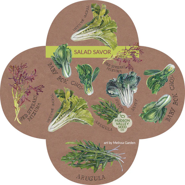 Salad Savor Mix Art Pack Seeds