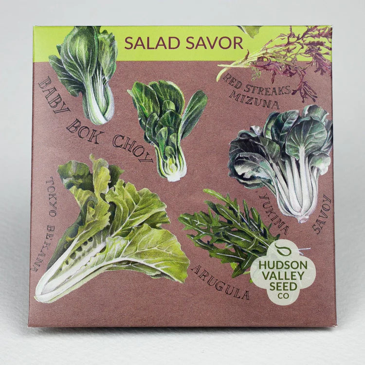 Salad Savor Mix Art Pack Seeds
