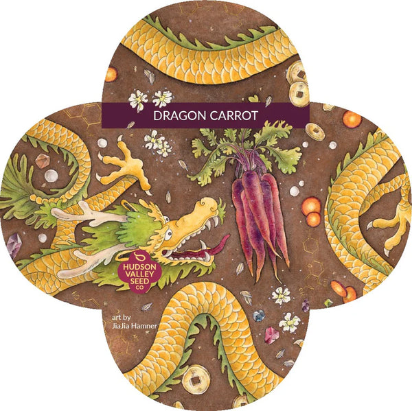 Dragon Carrot Art Pack Seeds