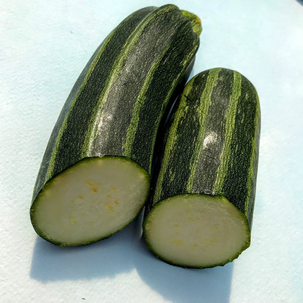 Cocozelle Zucchini Art Pack Seeds