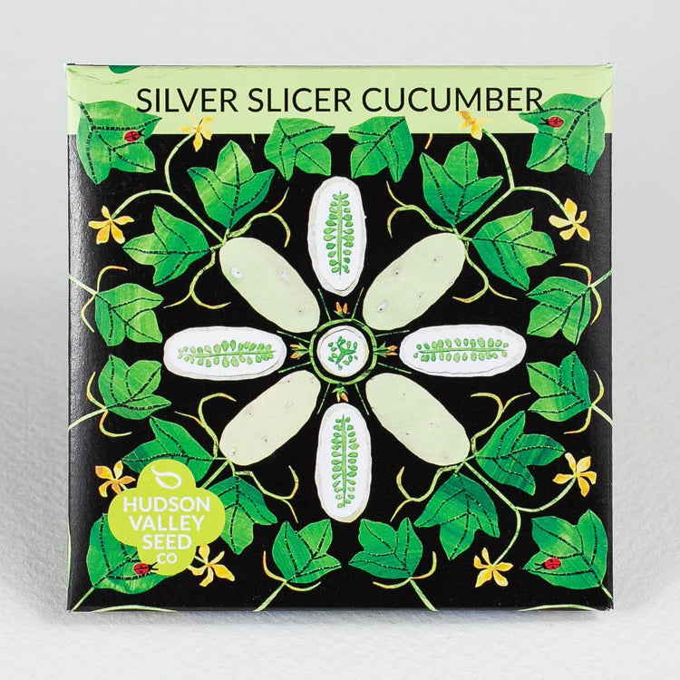 Silver Slicer Cucumber Art Pack Seeds