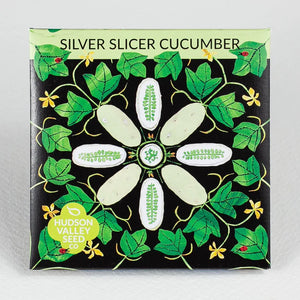 Silver Slicer Cucumber Art Pack Seeds