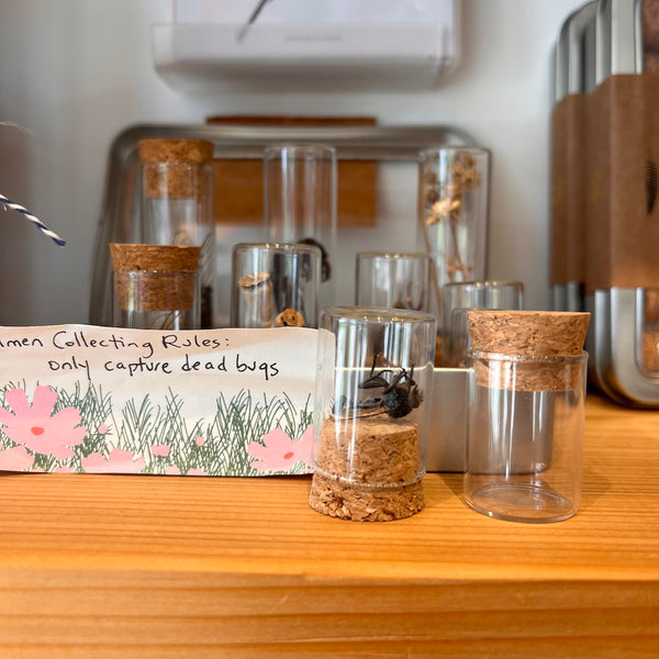 Specimen Bottles with Cork Lids
