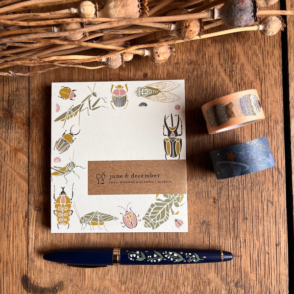 Small Wonder Mini Notes