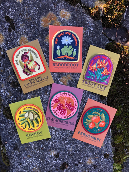 Bloodroot | Indigenous Plant Patch