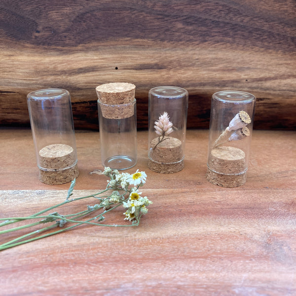 Specimen Bottles with Cork Lids