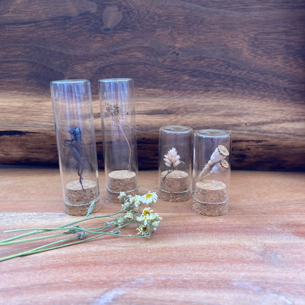 Specimen Bottles with Cork Lids