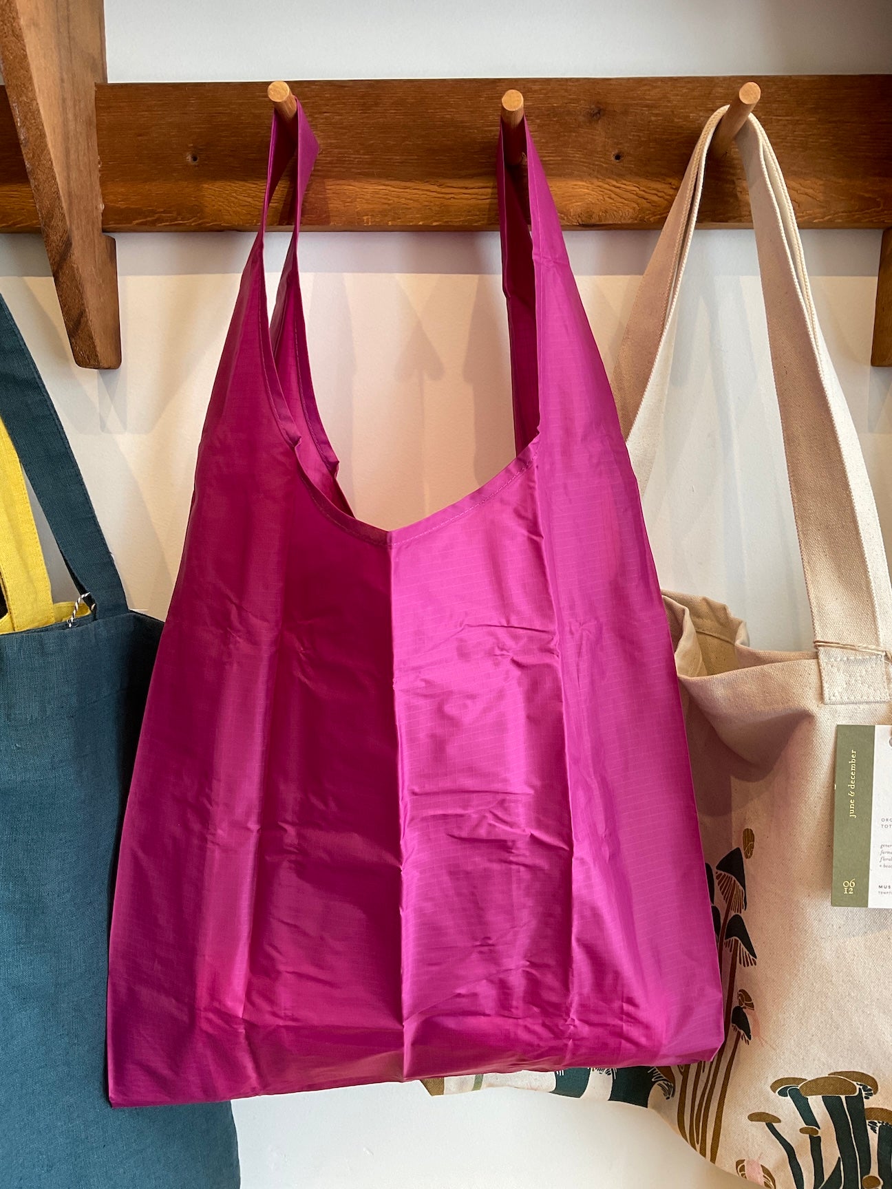 Standard Baggu | Reusable Bags – Pink Moon Goods